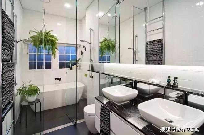 能凈化空氣的室內植物有哪些_凈化室內空氣植物有哪些_能凈化空氣的室內植物有哪些