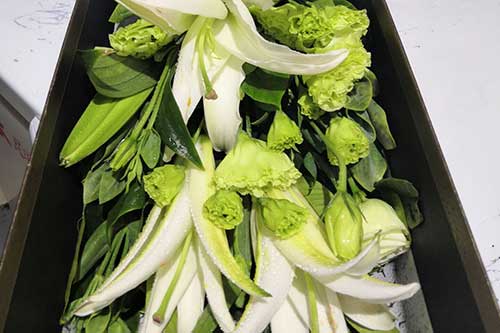 送花媽媽祝福語_送花給媽媽_送花媽媽祝福語簡短